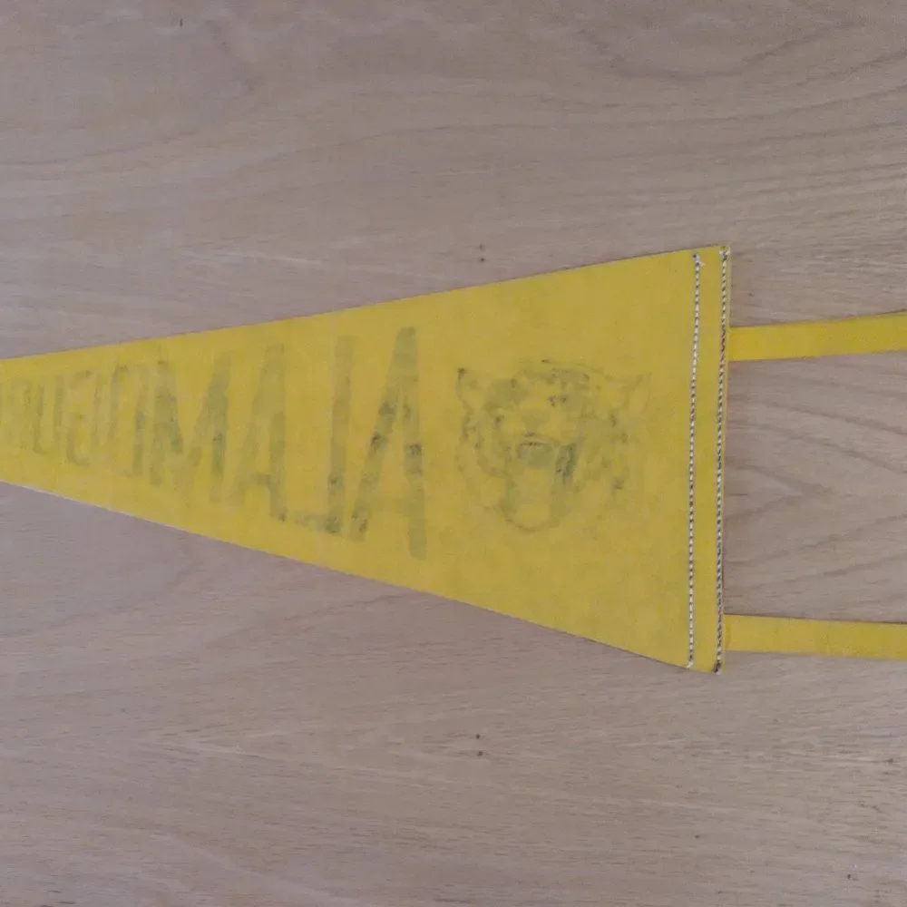 Vintage 60s Alamogordo New Mexico Tiger Pennant Flag